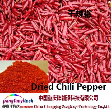 Dried Healthy Spicy Facing-sky Chilli Pepper